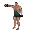 Anterior Raise - Standing Dumbbell Forward Alternate